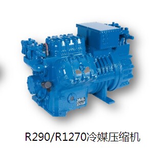 莆田R290/R1270冷媒压缩机
