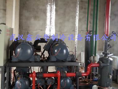 柳州湖北省某水产公司32吨速冻冷库